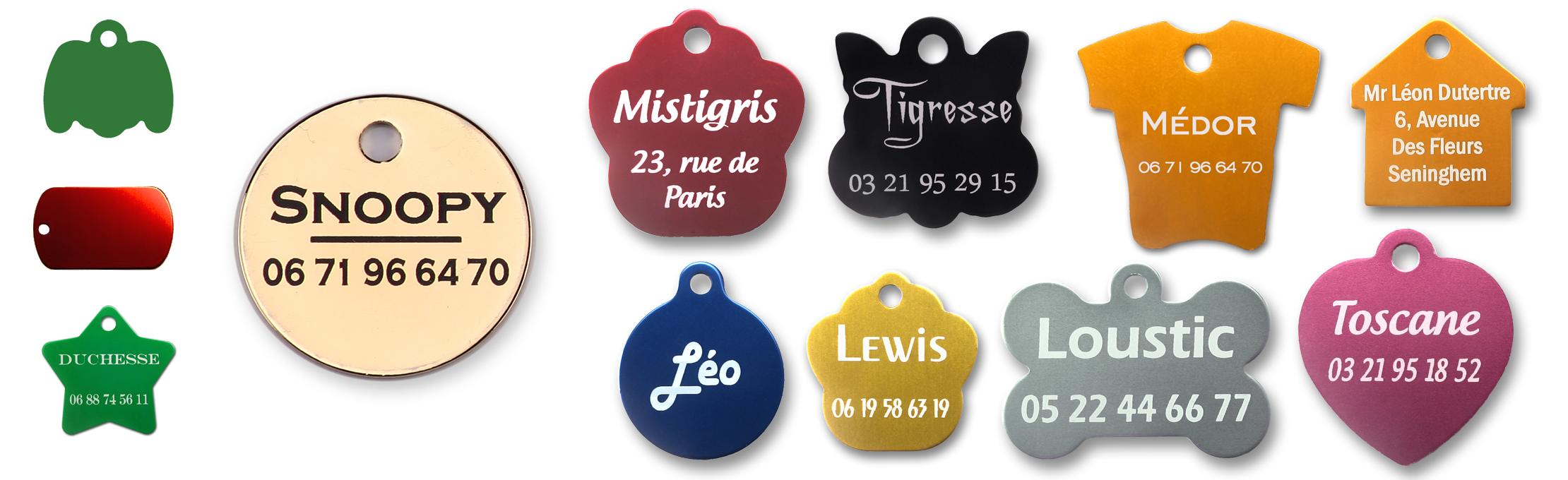 Médailles chien chat